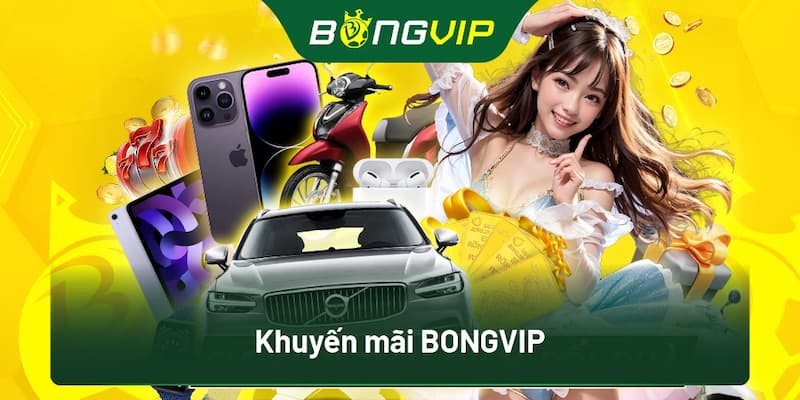 Khuyến Mãi Bongvip - Các Ưu Đãi Hấp Dẫn Cho Bet Thủ