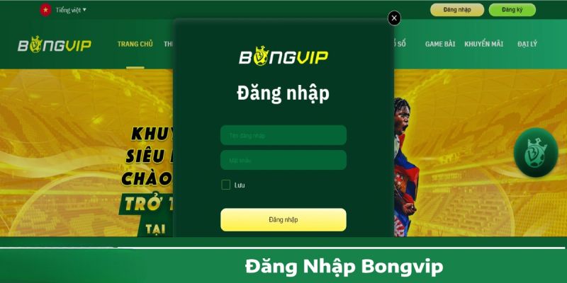 Hướng Dẫn Đăng Nhập Vào Bongvip – Chi Tiết Từng Bước Dễ Hiểu  